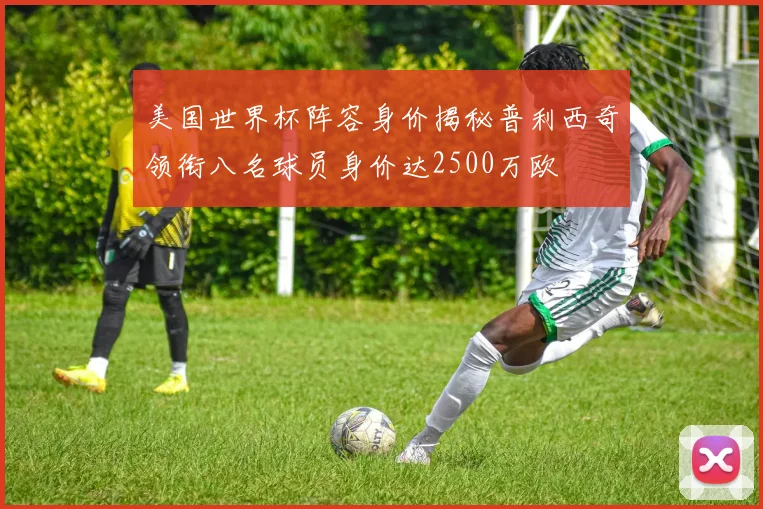 美国世界杯阵容身价揭秘普利西奇领衔八名球员身价达2500万欧
