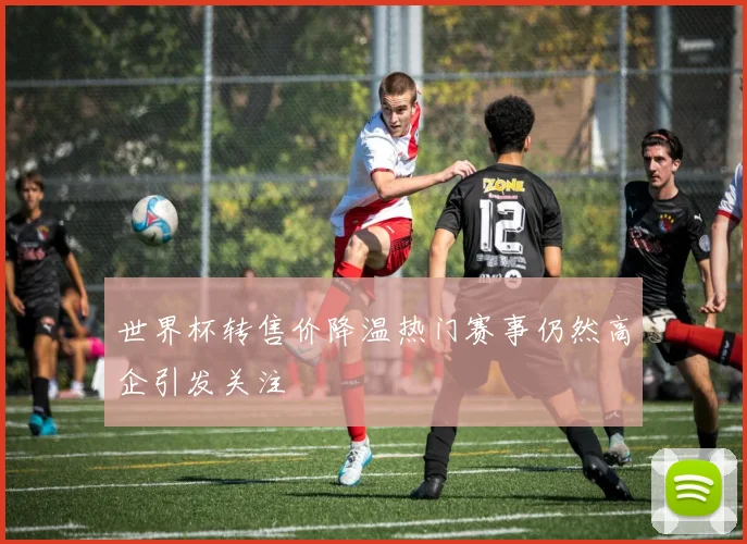 世界杯转售价降温热门赛事仍然高企引发关注